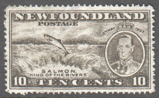 Newfoundland Scott 237 Used VF (P13.7) - Click Image to Close